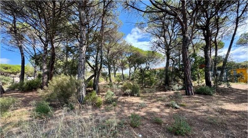 Gerona - Vidreres - 942m2
