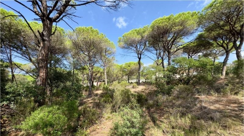 Gerona - Vidreres - 942m2