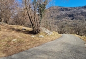 Terreny no urbanitzable en venda a la España, Castilló de Sos, ref.: TR402201 foto