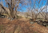 Terreny no urbanitzable en venda a la España, Castilló de Sos, ref.: TR402201 foto