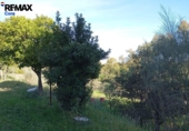 Casa de campo con terreno en venta en la España, Cáceres, ref: TR402214 foto
