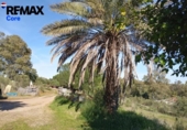 Casa de campo con terreno en venta en la España, Cáceres, ref: TR402214 foto