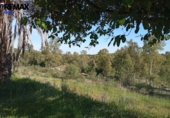 Casa de campo con terreno en venta en la España, Cáceres, ref: TR402214 foto