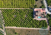 Finca rústica en venta en la España, Orihuela, ref: TR402273 foto