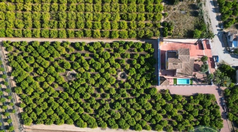 Alicante - Orihuela - 9480m2