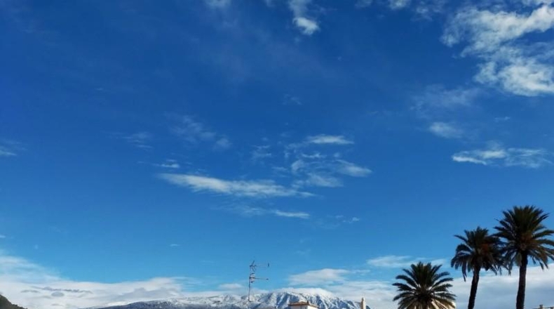 Granada - Motril - 546m2