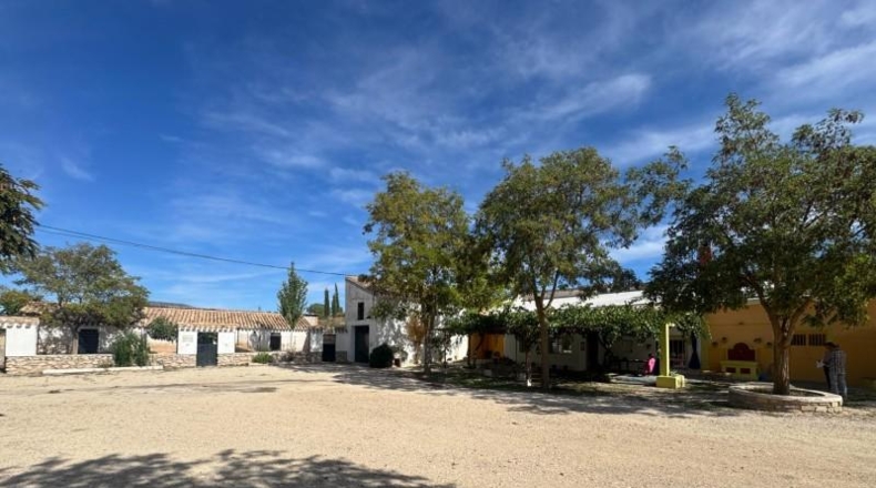 Granada - Huéscar - 64990m2