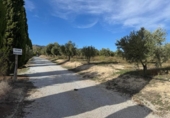 Chalet independiente con terreno en venta en la España, Huéscar, ref: TR402293 foto