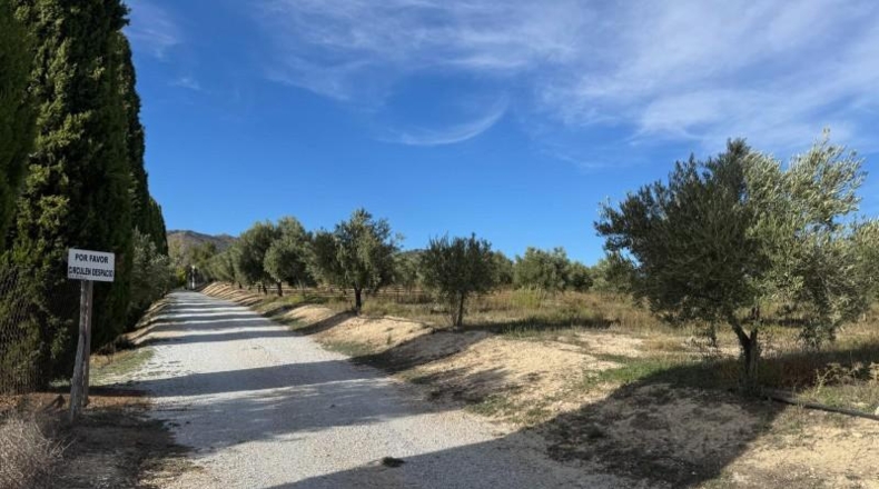 Granada - Huéscar - 64990m2