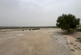 Crevillente 60650&nbsp;м²