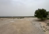 Non-developable land for sale on 38.190418 -0.805007, Crevillent, ref: TR402299 photo
