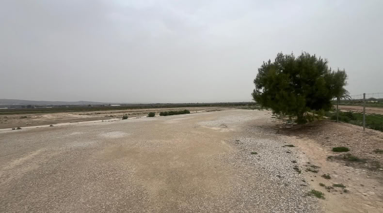 Alicante - Crevillent - 60650m2