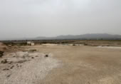 Non-developable land for sale on 38.190418 -0.805007, Crevillent, ref: TR402299 photo