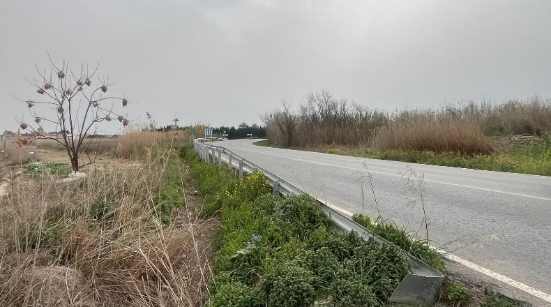 Alicante - Almoradí - 12800m2