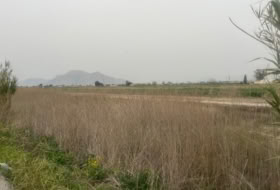 Almoradí 12800&nbsp;м²