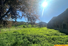 Corral 1319&nbsp;m²