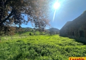 Terreno no urbanizable en venta en Corral ref: TR402309 foto