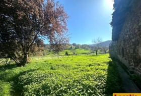 Corral 1319&nbsp;m²