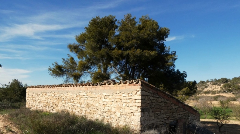 Zaragoza - Mequinenza - 55200m2
