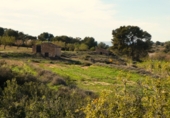 Non-developable land for sale in Mequinenza ref: TR402320 photo