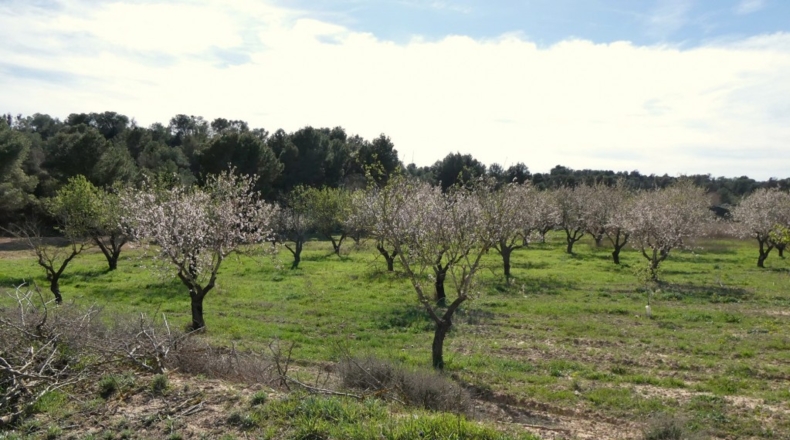 Zaragoza - Mequinenza - 55200m2
