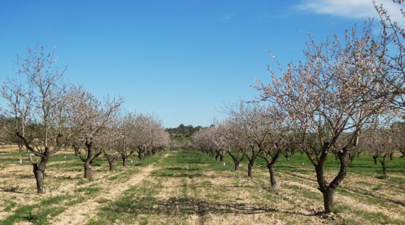 Zaragoza - Mequinenza - 55200m2