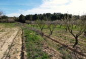 Non-developable land for sale in Mequinenza ref: TR402320 photo
