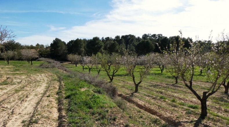 Zaragoza - Mequinenza - 55200m2