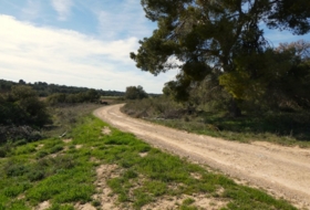 Foto 15