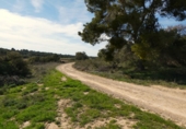 Non-developable land for sale in Mequinenza ref: TR402320 photo