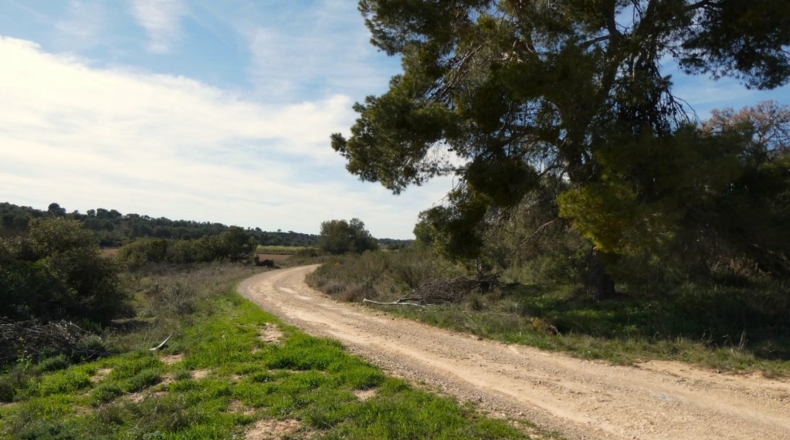 Zaragoza - Mequinenza - 55200m2