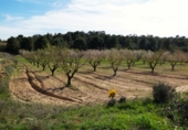 Non-developable land for sale in Mequinenza ref: TR402320 photo