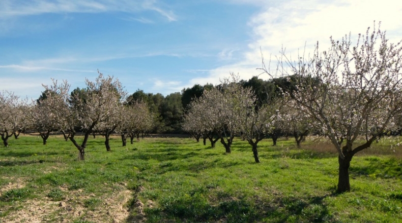 Zaragoza - Mequinenza - 55200m2