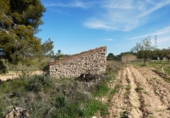 Non-developable land for sale in Mequinenza ref: TR402320 photo