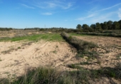 Non-developable land for sale in Mequinenza ref: TR402320 photo