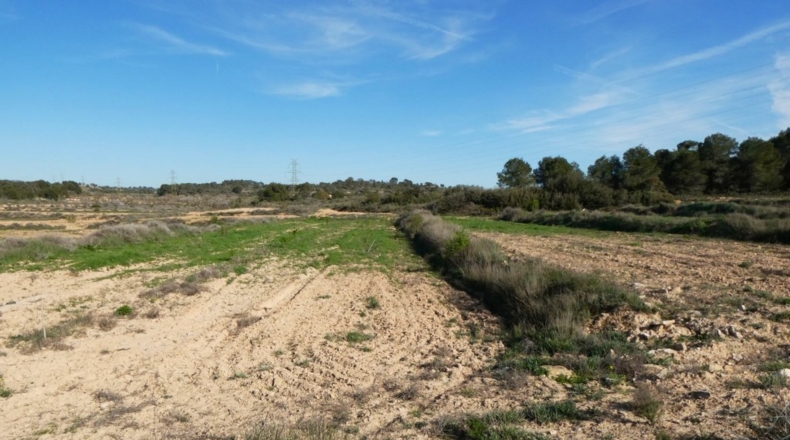 Zaragoza - Mequinenza - 55200m2