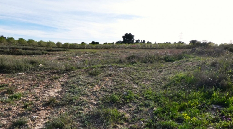 Zaragoza - Mequinenza - 55200m2