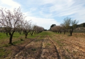 Non-developable land for sale in Mequinenza ref: TR402320 photo