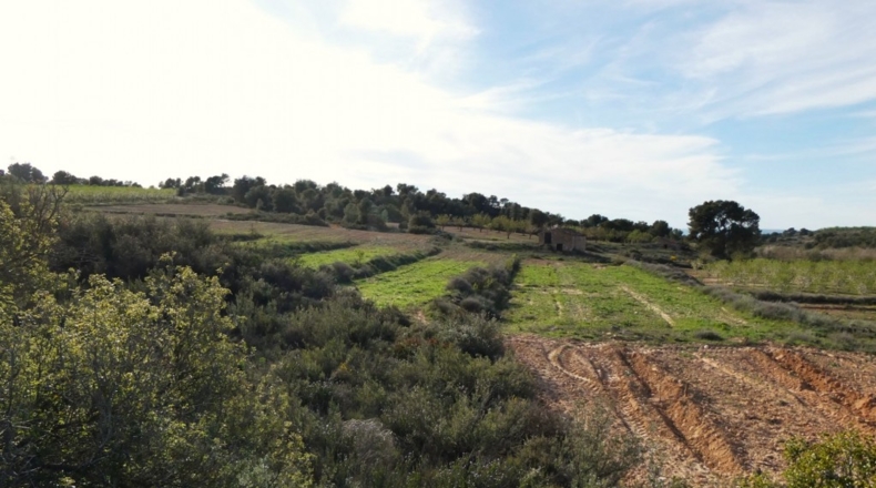 Zaragoza - Mequinenza - 55200m2