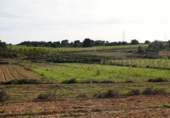 Non-developable land for sale in Mequinenza ref: TR402320 photo