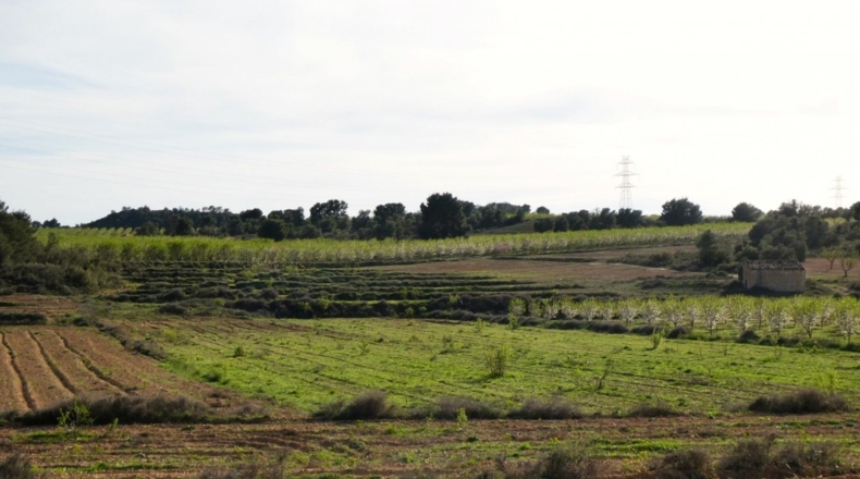 Zaragoza - Mequinenza - 55200m2