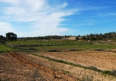 Non-developable land for sale in Mequinenza ref: TR402320 photo