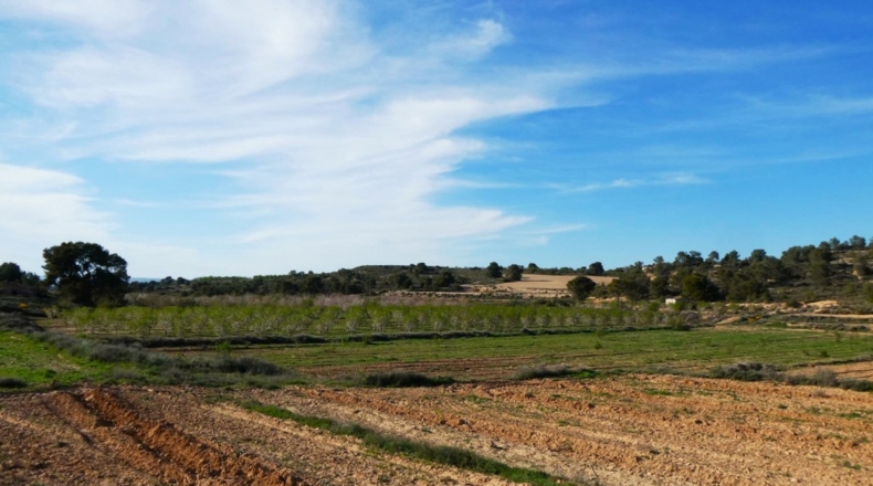 Zaragoza - Mequinenza - 55200m2