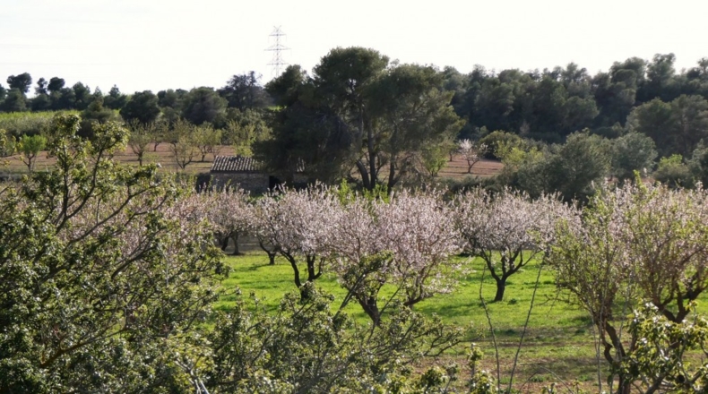 Zaragoza - Mequinenza - 55200m2