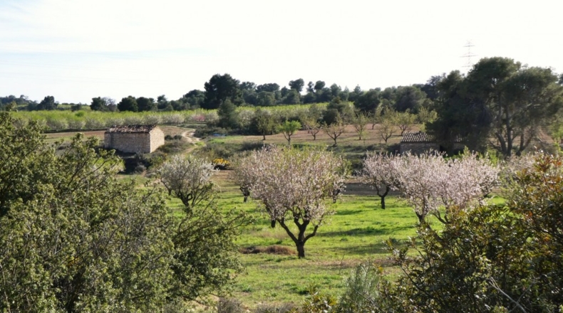 Zaragoza - Mequinenza - 55200m2