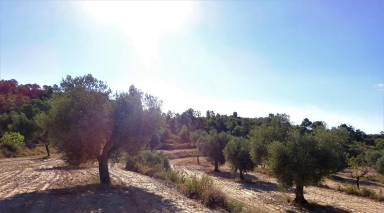 Zaragoza - Caspe - 32800m2