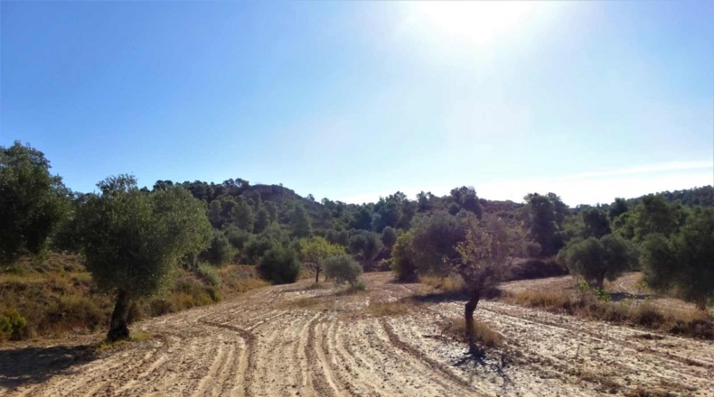 Zaragoza - Caspe - 32800m2