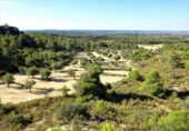 Terreno no urbanizable en venta en Caspe ref: TR402321 foto
