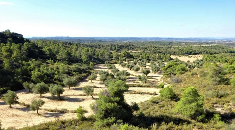 Zaragoza - Caspe - 32800m2