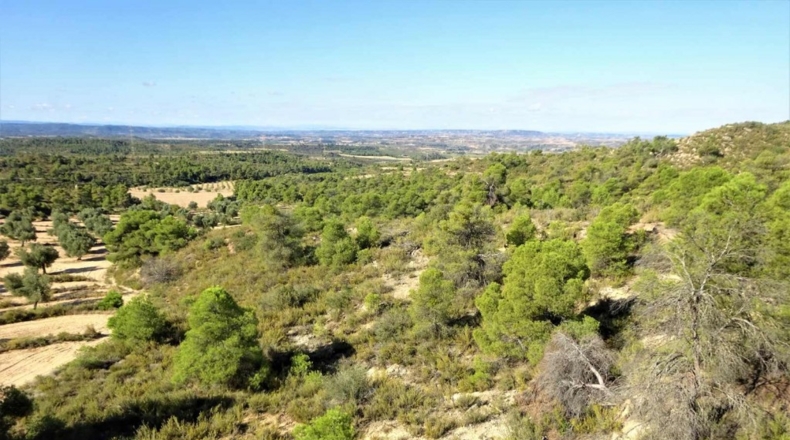 Zaragoza - Caspe - 32800m2